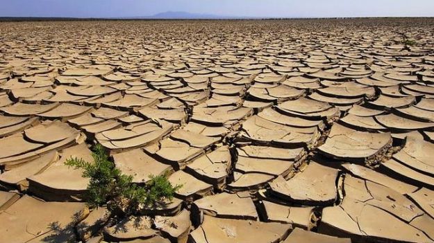 cambiamenti_climatici_terreni_agricoli_desertificazione